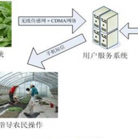  Remote greenhouse monitoring IOT card_flow card